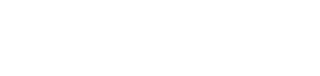 ACVEL 05 e1768307085388 1024x244